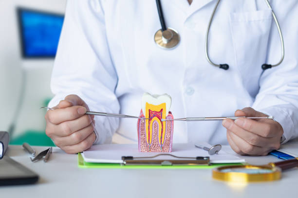 Best Emergency Wisdom Tooth Extraction in Spencer, IN
